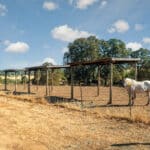 Photo 32 for Blue Fountain Farm