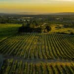 Photo 6 for Alger Vineyards