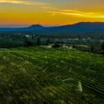 Photo 2 for Alger Vineyards