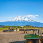 Photo 6 for Rafter JK Bar Ranch