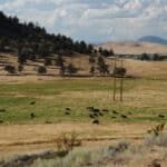 Photo 10 for Rafter JK Bar Ranch