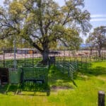 Photo 47 for Elk Creek Double A Ranch