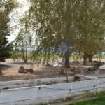 Photo 62 for Quail Run Ranch