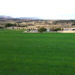 Photo 4 for Quail Run Ranch