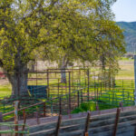 Photo 51 for Elk Creek Double A Ranch