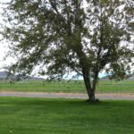 Photo 70 for Quail Run Ranch