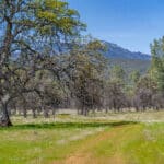 Photo 58 for Elk Creek Double A Ranch