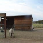 Photo 87 for Quail Run Ranch