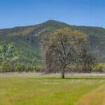 Photo 62 for Elk Creek Double A Ranch