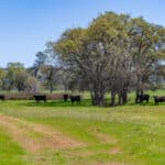 Photo 71 for Elk Creek Double A Ranch