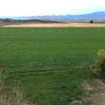 Photo 6 for Quail Run Ranch