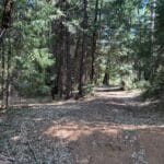 Photo 4 for 40 ACRES SISKIYOU (430)