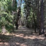 Photo 5 for 40 ACRES SISKIYOU (430)