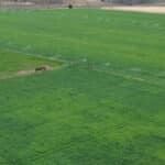 Photo 7 for Quail Run Ranch