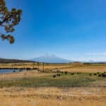 Photo 5 for Rafter JK Bar Ranch