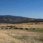 Photo 45 for Rafter JK Bar Ranch