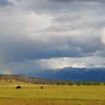 Photo 48 for Rafter JK Bar Ranch