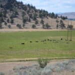 Photo 52 for Rafter JK Bar Ranch