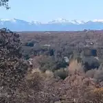 Photo 30 for Lazy Lane