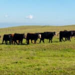 Photo 3 for Bar 69 Ranch