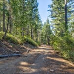 Photo 3 for Emigrant Gap Acres