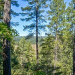 Photo 5 for Emigrant Gap Acres