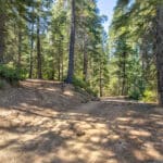 Photo 6 for Emigrant Gap Acres