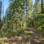 Photo 7 for Emigrant Gap Acres
