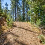 Photo 9 for Emigrant Gap Acres