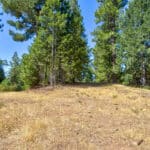 Photo 10 for Emigrant Gap Acres