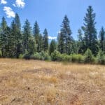 Photo 11 for Emigrant Gap Acres