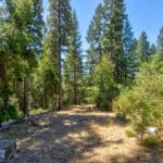 Photo 16 for Emigrant Gap Acres