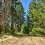 Photo 17 for Emigrant Gap Acres