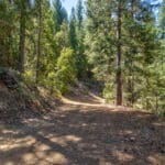 Photo 18 for Emigrant Gap Acres