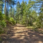 Photo 19 for Emigrant Gap Acres