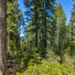 Photo 21 for Emigrant Gap Acres