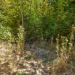 Photo 24 for Emigrant Gap Acres