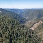 Photo 25 for Emigrant Gap Acres