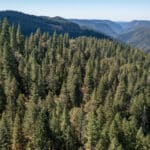 Photo 26 for Emigrant Gap Acres
