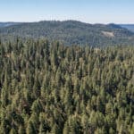 Photo 27 for Emigrant Gap Acres