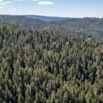 Photo 28 for Emigrant Gap Acres
