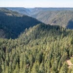 Photo 32 for Emigrant Gap Acres