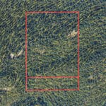 Photo 36 for Emigrant Gap Acres