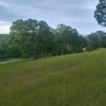 Photo 36 for Lazy Lane