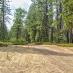 Photo 4 for Whispering Pines