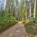 Photo 5 for Whispering Pines