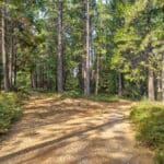 Photo 6 for Whispering Pines