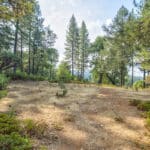 Photo 7 for Whispering Pines
