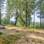 Photo 9 for Whispering Pines