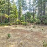 Photo 10 for Whispering Pines